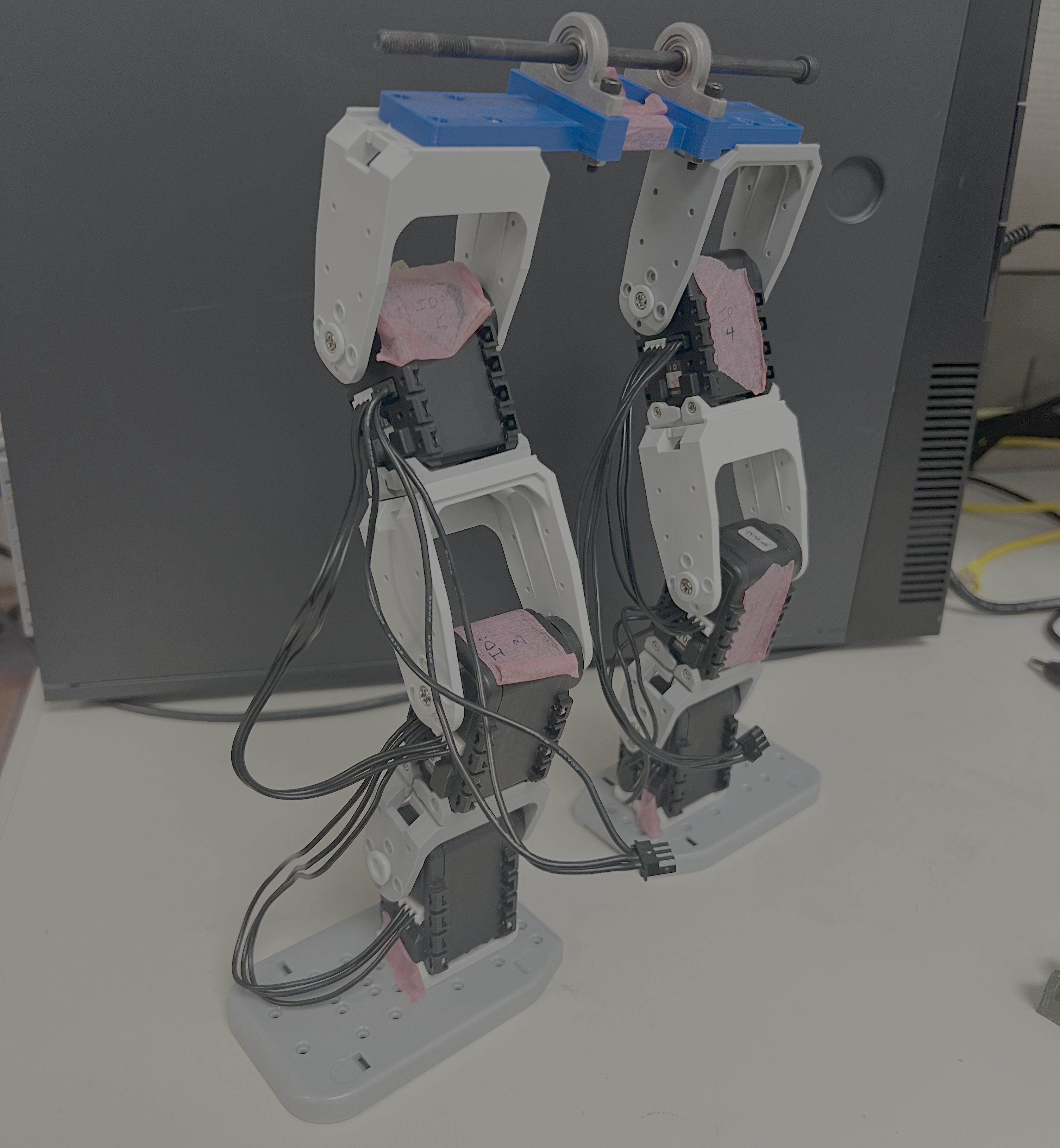 Biped