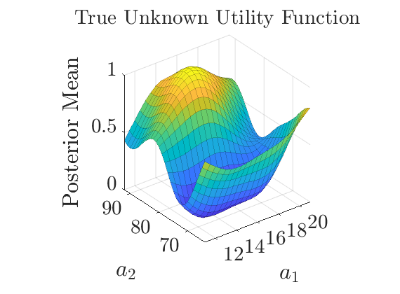 2D Surface Objective Function